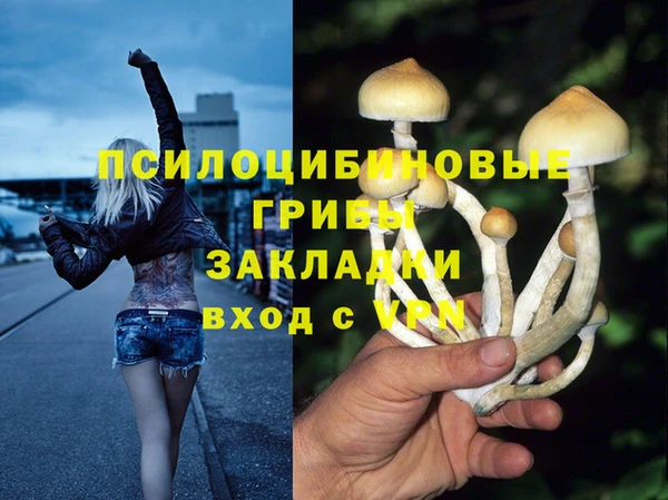 мет Белокуриха