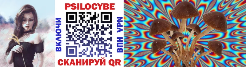 Купить где  Горняк  Галлюциногенные грибы мицелий 